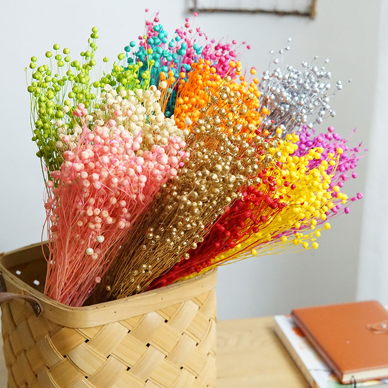 Baby Products Decoration - 35g/保存されたオルモシア・ホシエ天然本物の花カラフルな乾燥リッチビーンズ花束用ホームデコレーションDIY素材