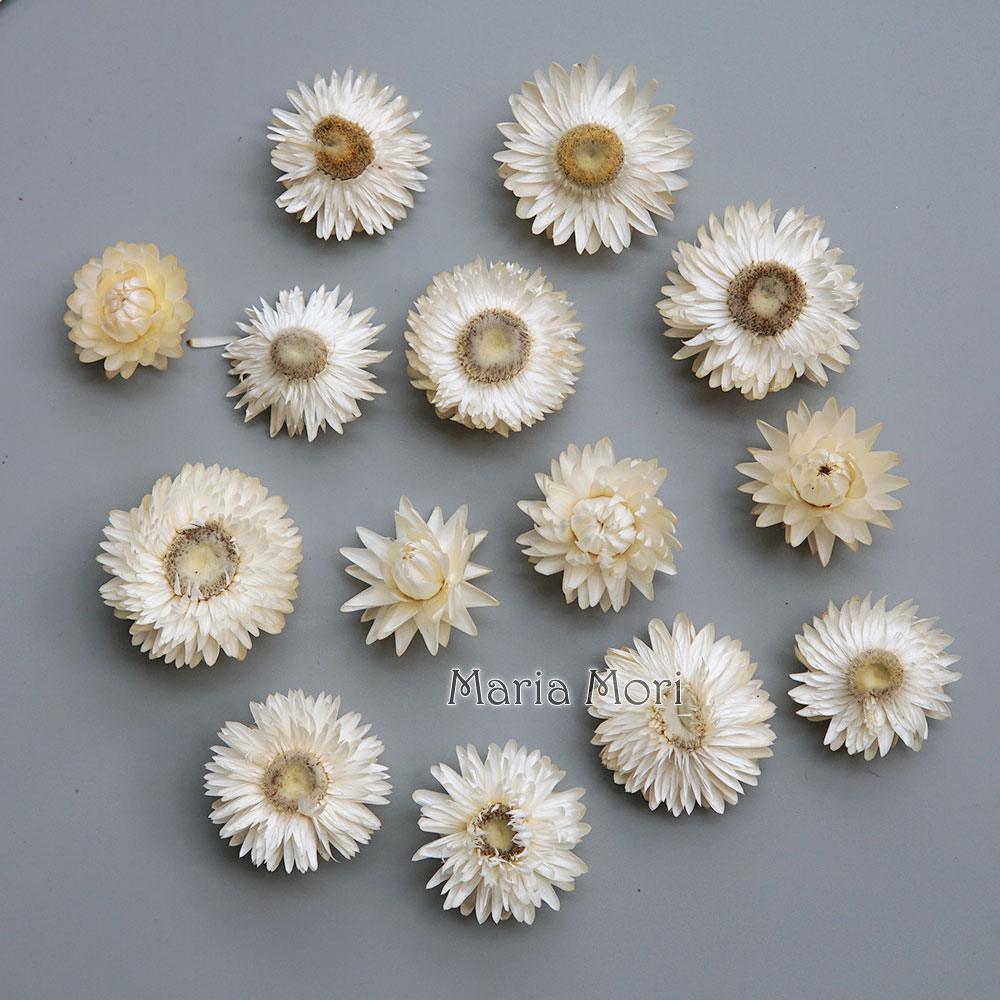 天然のドライでカラフルな菊の花輪,手作りのヘアアクセサリー, - Baby Products List のレビューと価格