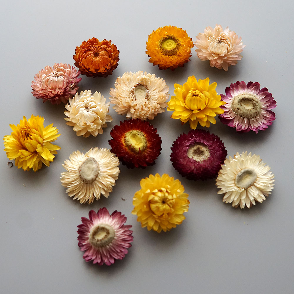 天然のドライでカラフルな菊の花輪,手作りのヘアアクセサリー, - Baby Products List のレビューと価格