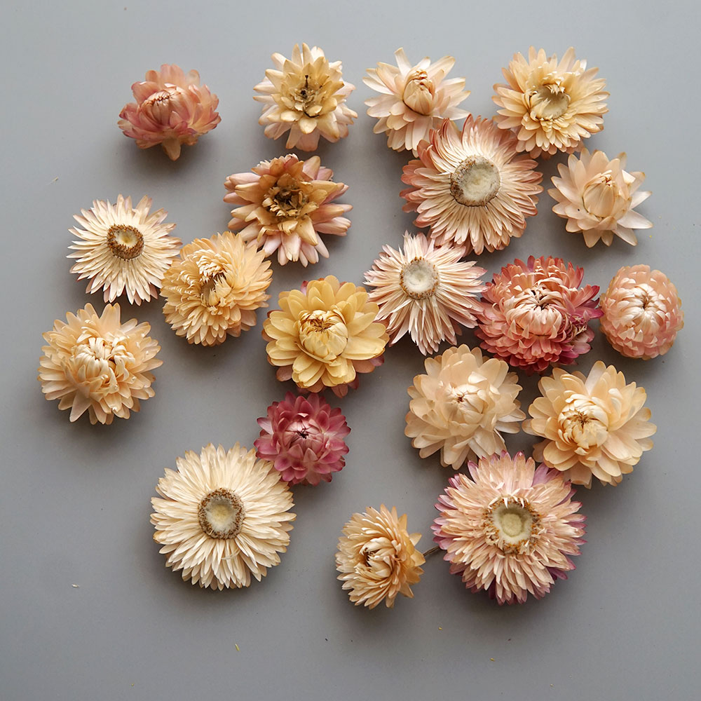 天然のドライでカラフルな菊の花輪,手作りのヘアアクセサリー, - Baby Products List のレビューと価格