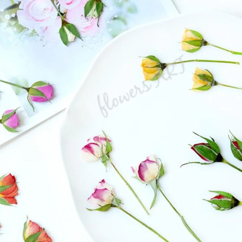 押し花の花びら ドライフラワー DIY 植物フォトフレーム  - Baby Products Decoration のレビューと価格