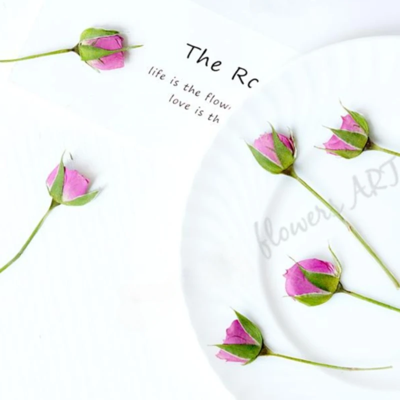 押し花の花びら ドライフラワー DIY 植物フォトフレーム  - Baby Products Decoration のレビューと価格