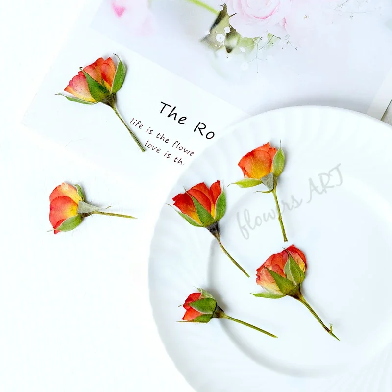 押し花の花びら ドライフラワー DIY 植物フォトフレーム  - Baby Products Decoration のレビューと価格
